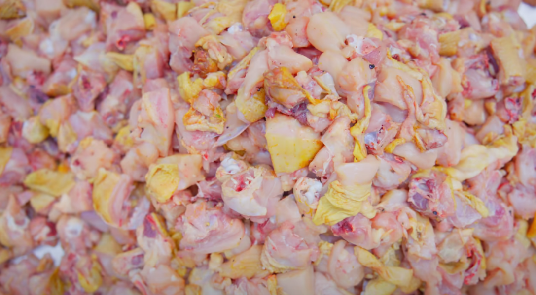 Bamboo