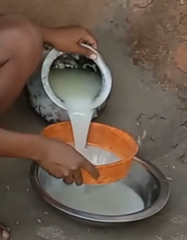 Rice