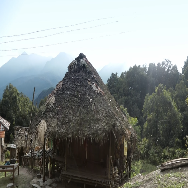 Houses