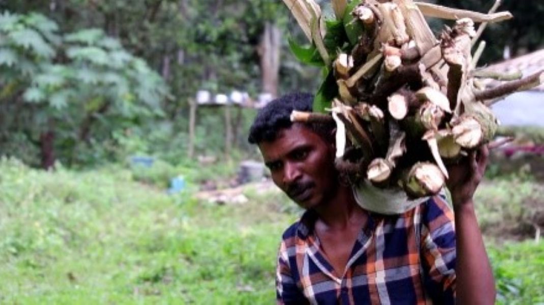 Livelihood