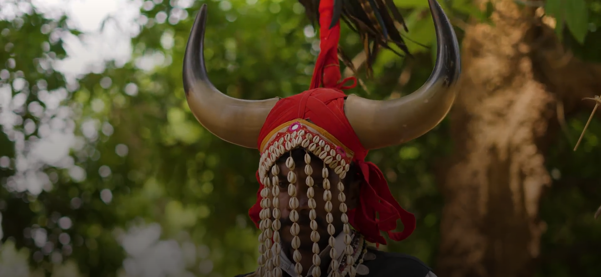 Gaur