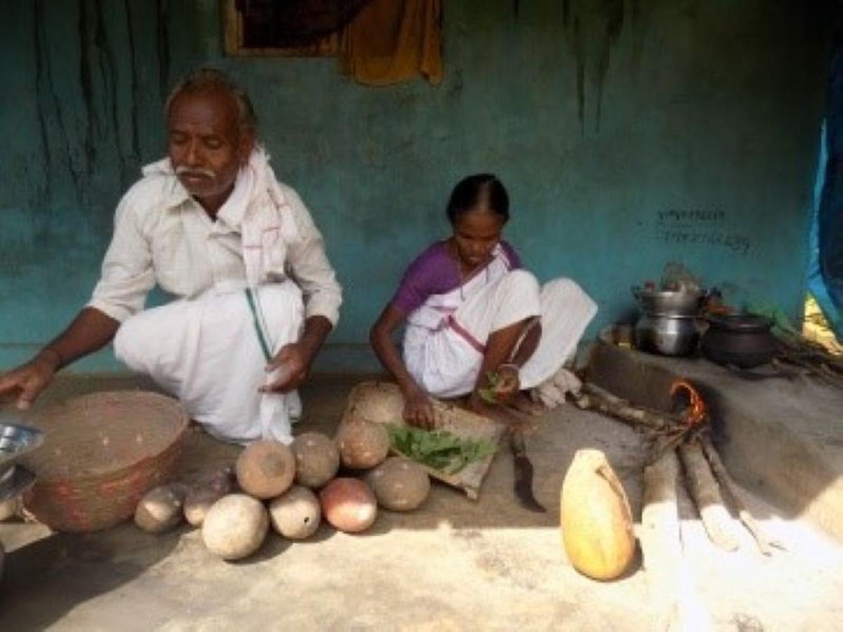 Kattunayakan tribe livelihood