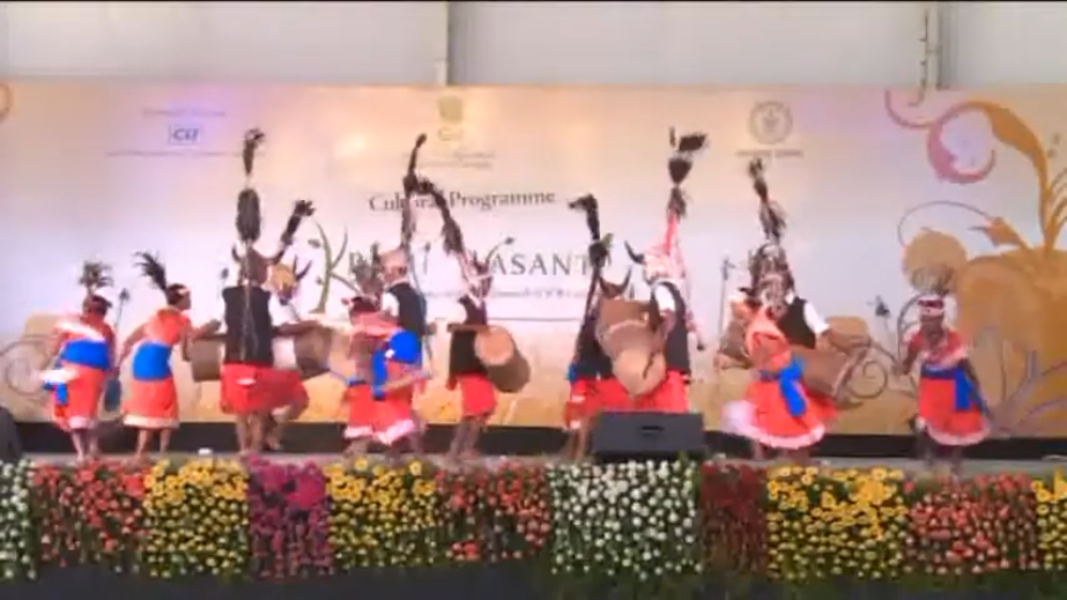 Gaur