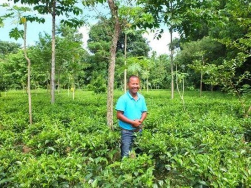 Tenzing