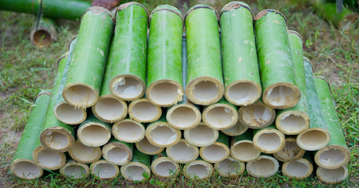 Bamboo