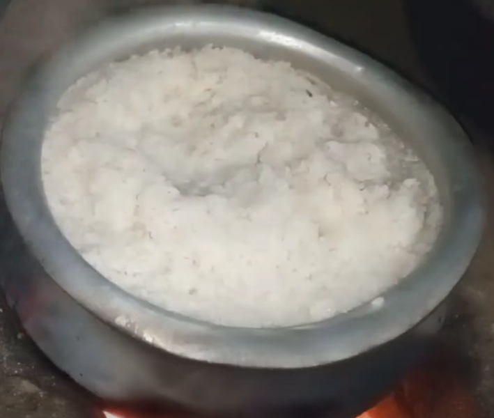 Rice