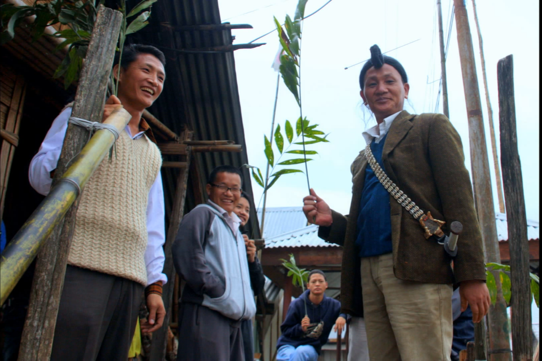 Apatani