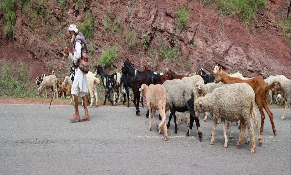 Gujjar