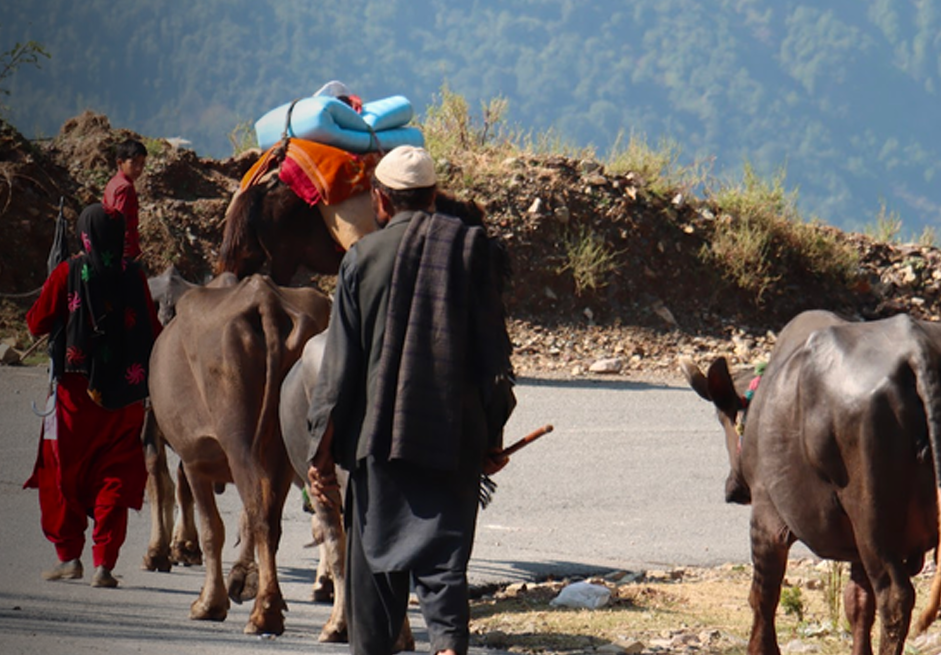 Gujjar-Bakarwal