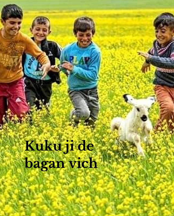 Kuku