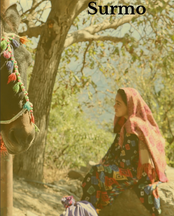 Kashmiri