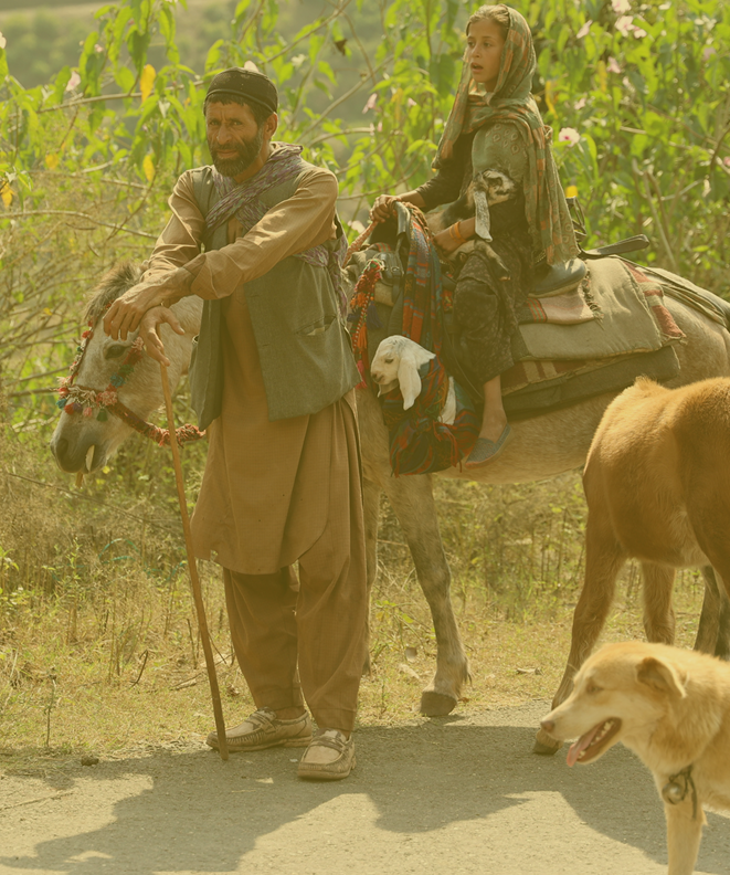 Kashmiri