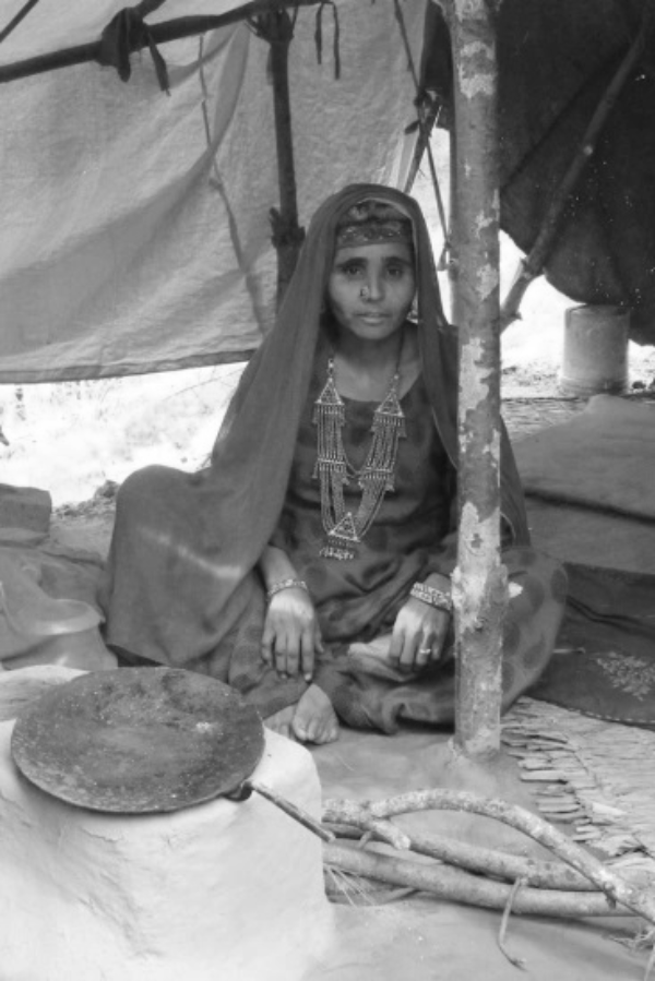 Bakarwal