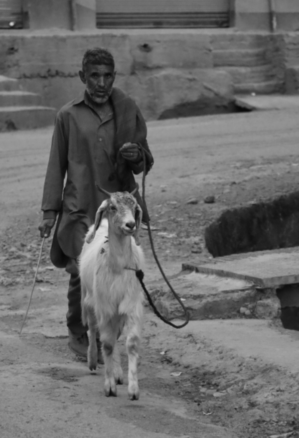 Gujjar