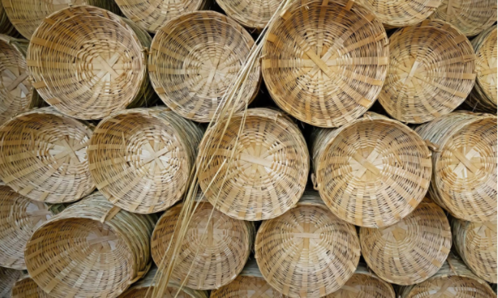Bamboo