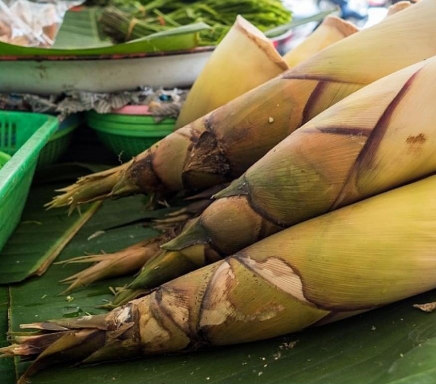 Bamboo