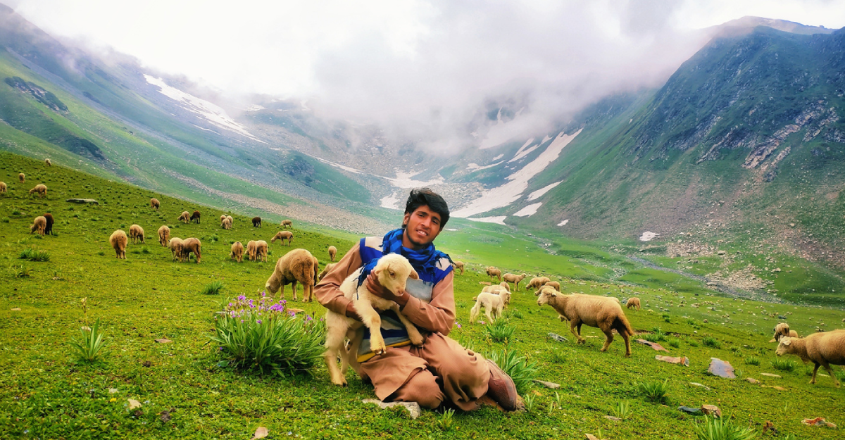 Gujjar