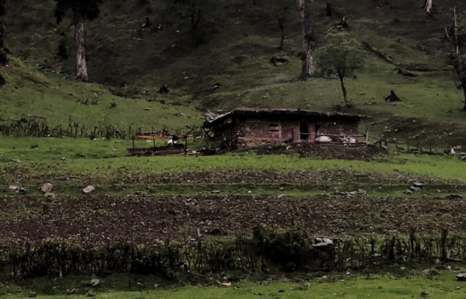 Agricultural