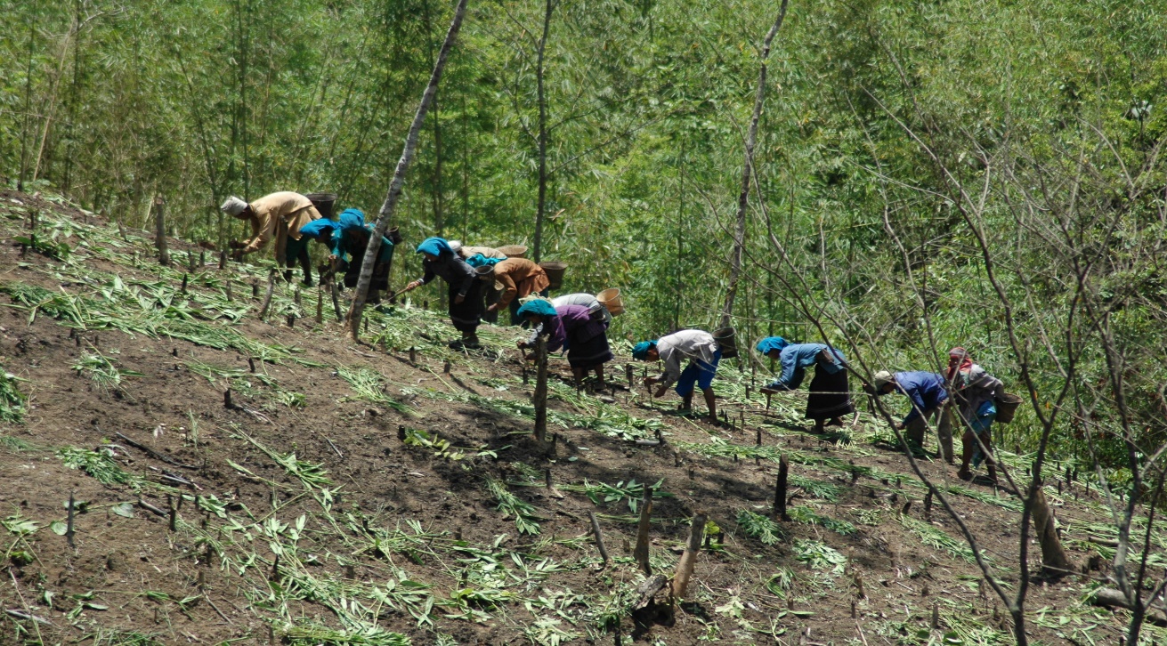 Agricultural