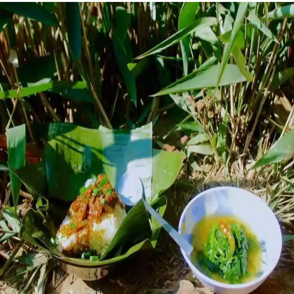 Apatani
