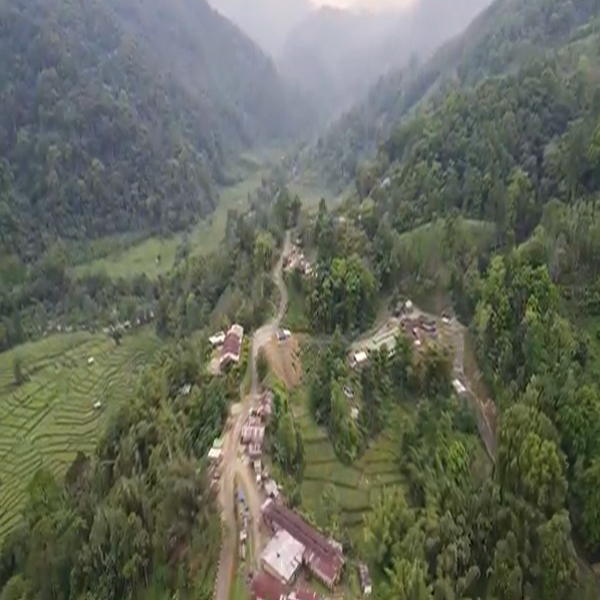 Hills