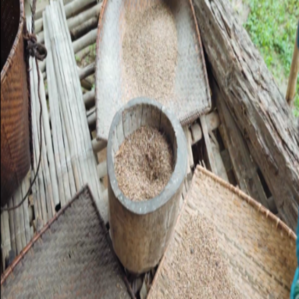 Winnowing