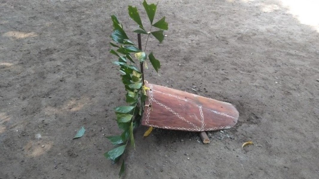 Sustainability