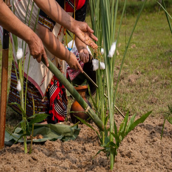 Agriculture