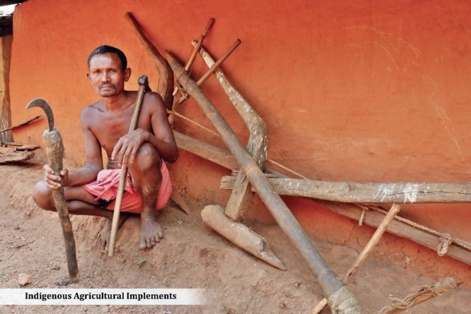 Indigenous