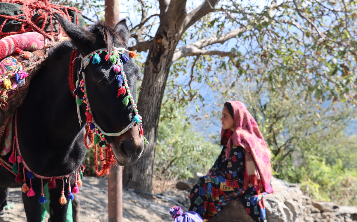 Gujjar