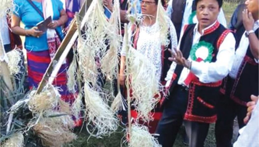 Festival