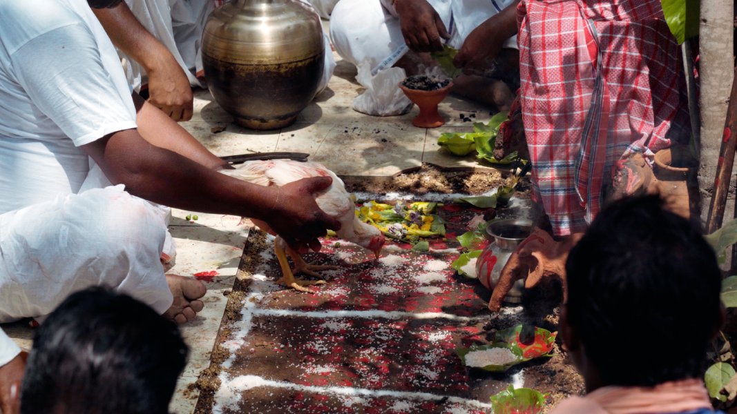 Communal