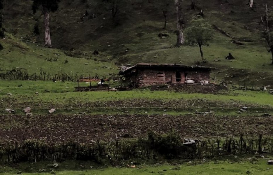 Agriculture