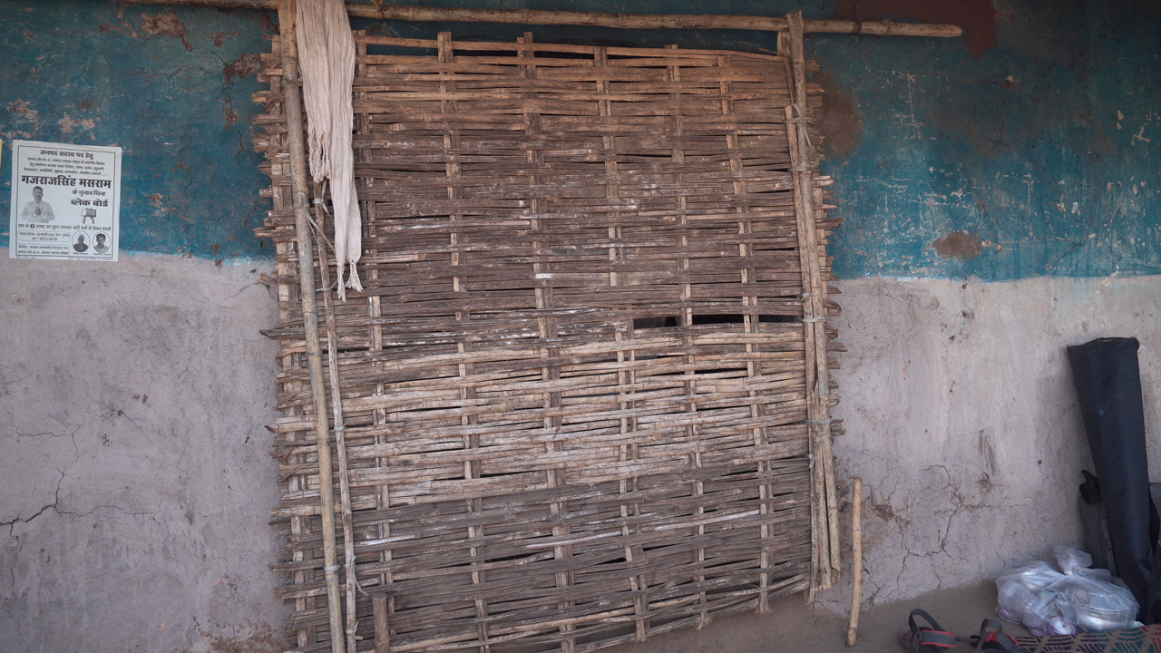 Bamboo